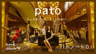 パト（pato）とは？仕組みと特徴をわかりやすく整理